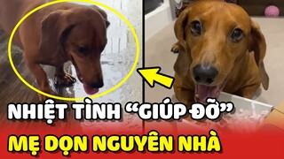 Lui Théo - Sự NHIỆT TÌNH của Leo khiến mẹ phải DỌN LẠI nguyên nhà 😂 | Yêu Lu