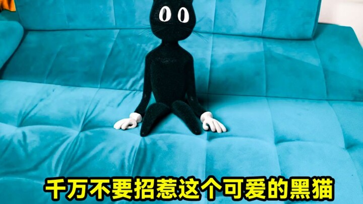 Đừng bao giờ chọc giận chú mèo đen này, nếu không bạn sẽ còn chẳng kịp hối hận