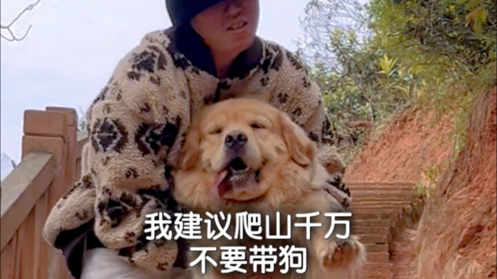 I strongly advise against bringing dogs—especially large breeds—when you’re hiking!