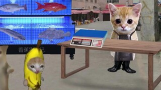 Banana Cat spots a beautiful fish at the seafood market.