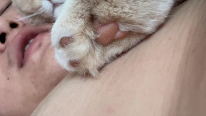 我让它开花就开花