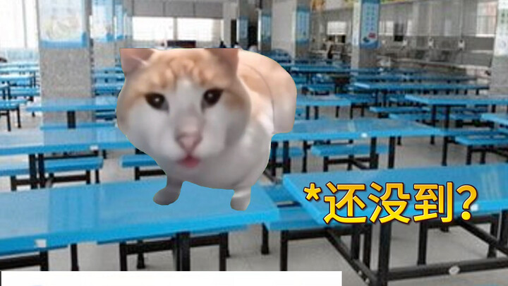 大学生的心梗时刻
