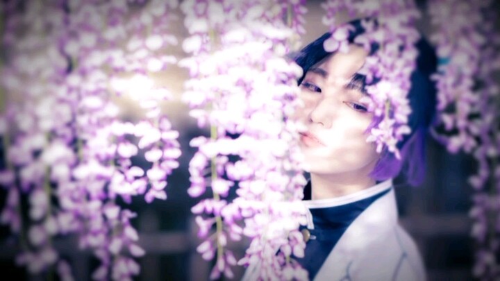 Hoa tử đằng và shinobu