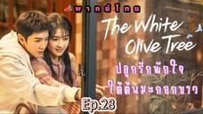 Episode 28