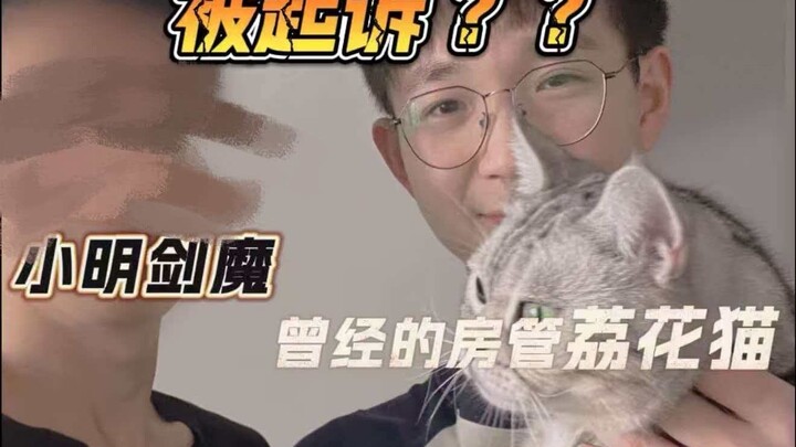 From Property Manager to Defendant: I’ve Been Sued by Xiao Ming the Sword Demon!