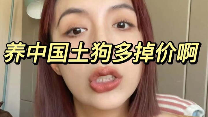 Mana bisa menandingi anjing ras murni?