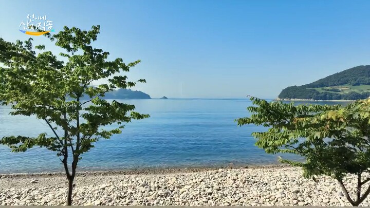 fresh off the sea S1(IND) eps.1