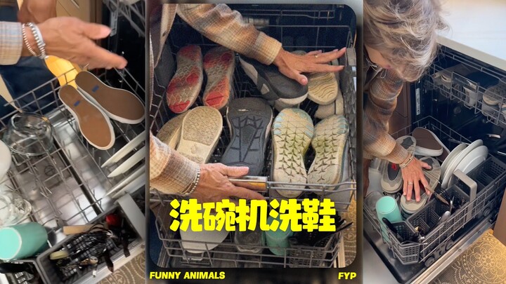 «Rửa giày bằng máy rửa bát», «Rửa chung với bộ đồ ăn»