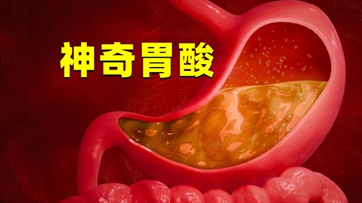 How strong is human stomach acid? It can even dissolve metal—so why doesn’t it harm the stomach itse
