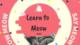 Learn to meow english hanibektisweety song cover