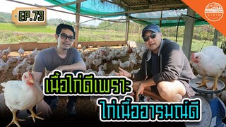 เนื้อไก่ดี เพราะไก่เนื้ออารมณ์ดี - สิรินทร์ฟาร์ม EP.73