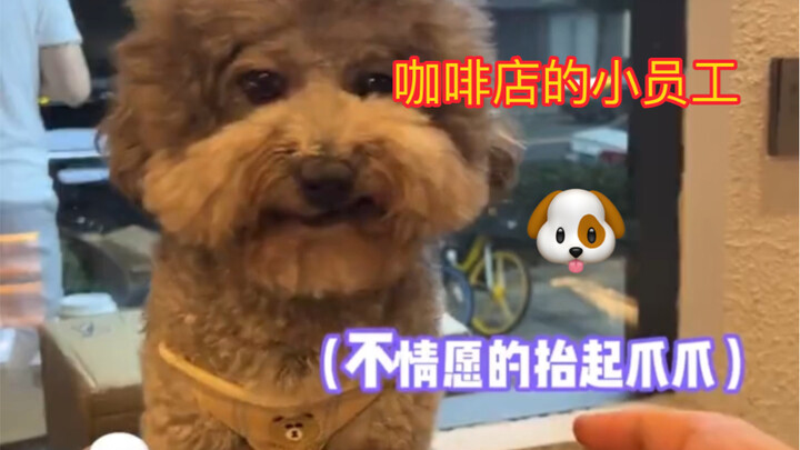 Don't mess with the working dogs—Husky says, "I'm really forcing a smile."