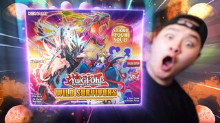 *NEW TIER ZERO DINO* Opening The NEW GODLY WILD SURVIVORS Yu-Gi-Oh Booster Box!