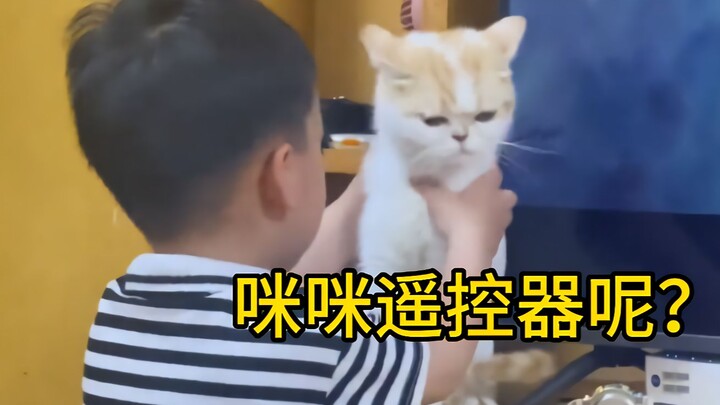 Raising kids really is as expensive as raising a cat!