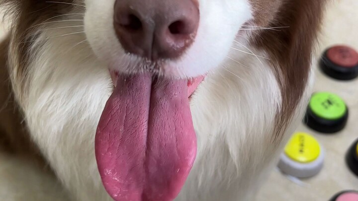 Yu Zai is seriously so cute!