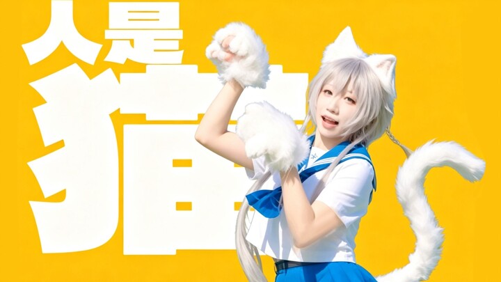 Hey! Could it be… humans are cats?