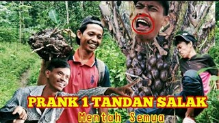 PRANK 1 TANDAN SALAK|MENTAH SEMUA