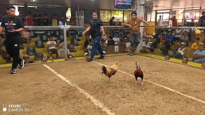 June 15, 2025 Hack Fight @Tinurik Mini Cockpit.🐓-W