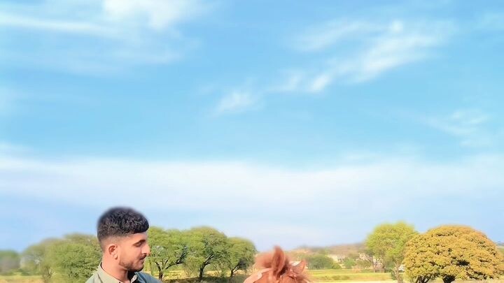 horse ❤️