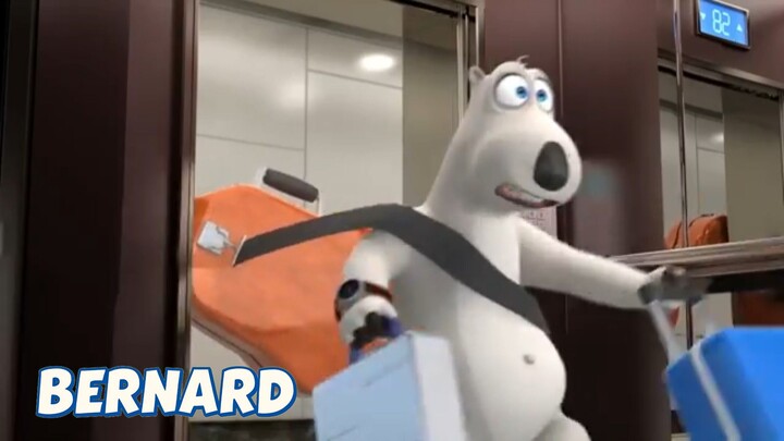 BERNARD BEAR || STAIR CLIMBING - CARTOON CHILDREN