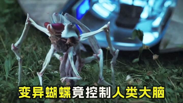 طفرة الفراشات تسيطر على أدمغة البشر!