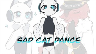 【柴/oc】❤️sad cat dance❤️