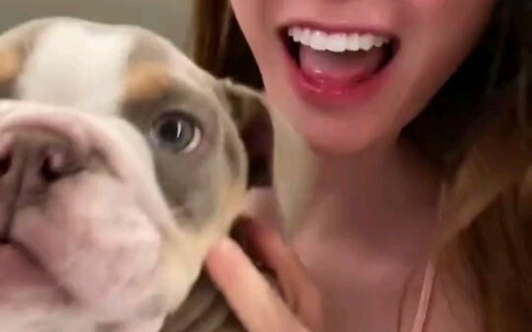 Even though the sweet girl has a fierce dog at home, she can still be super cute!