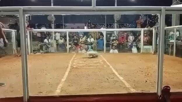 2nd entry 2nd fight win champion 2HITS ULUTAN NSQCA FEB. 11, 2024