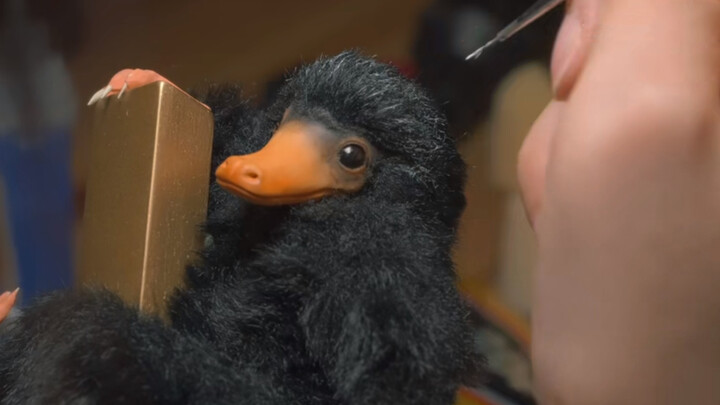 Handcraft: About How to Raise a Niffler