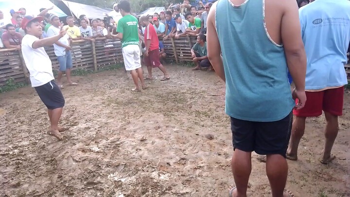 draw mga boss