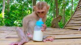 Milk is Life!! Tiny Yaya drinks milk very often as possible for her healthy & stronger