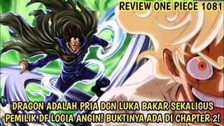 REVIEW OP 1081 LENGKAP! FIX! DRAGON ADLH SOSOK PRIA DGN LUKA BAKAR! PEMILIK DF LOGIA ANGIN!