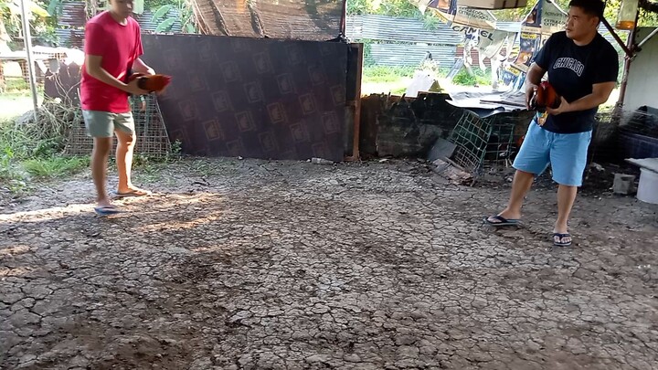 both authentic aej game farm spar