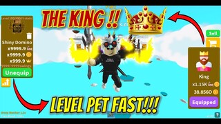 GETTING KING CLASS AND SHOWING  HOW TO LEVEL YOUR PETS FASTER IN SABER SIMULATOR