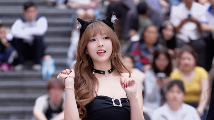 Beruang kecil pelanggaran tari acak K‑pop