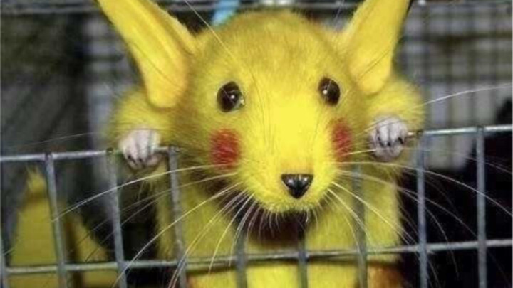 Xianyu’s Hilarious Creature Awards