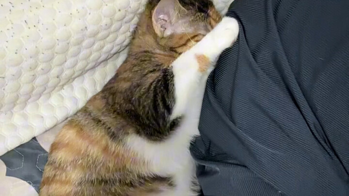 Wow, belajar segala hal ya, sebenarnya apa yang diajarkan oleh satpam itu?