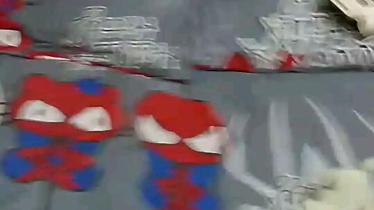 ลิตเติ้ล แซลม่อน....59