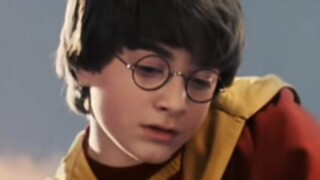 Hogwarts: A Wild History