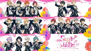 Starry Symphony Superbloom Day 3