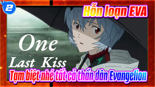 Hỗn loạn EVA| Tạm biệt nhé tất cả thần dân Evangelion ._2