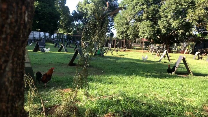 DG Game Farm