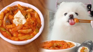 Animal|Make Fried Rice Cakes for Puppies