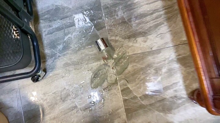 Aduh, botol SK-II istriku kejatuhan dan pecah! Sudah waktunya si anjing bodoh di rumah ikut bertangg