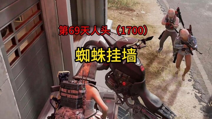 Spider Clings to the Wall Nonstop