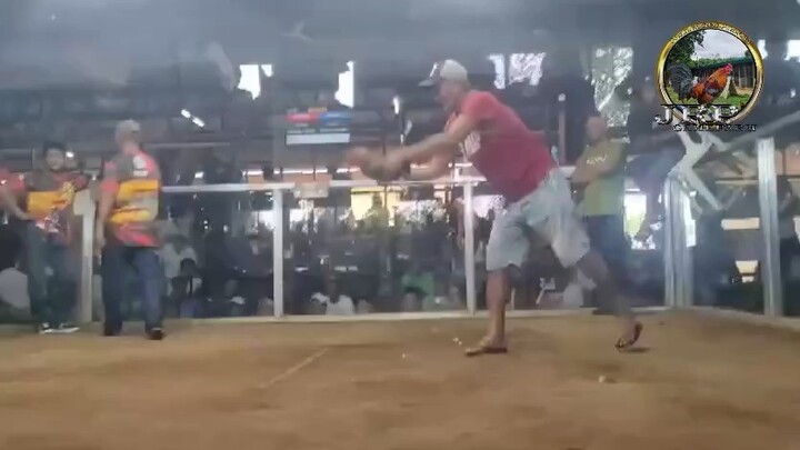 AEJ line! Gilmore Sweater!