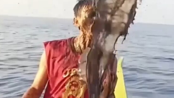 Humanity Is Doomed ⚡️⚡️⚡️❶❹