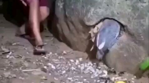 video kocak