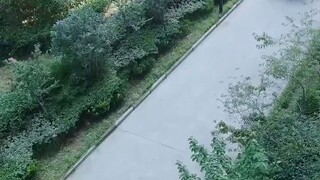 หลินอี้โม่ ครั้งแรกกับท่านประธาน #พากย์ไทย