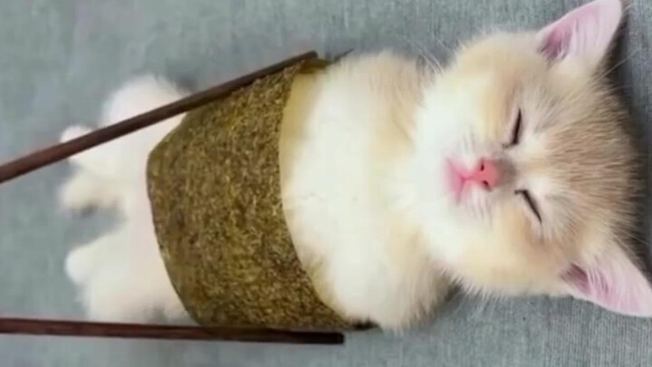 Chapter 9 of “A Few Little Flaws”